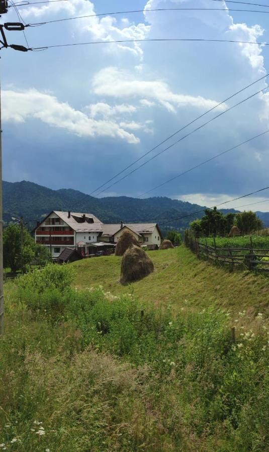 Casa De Vacanta Perla Colibitei 招待所 Colibita